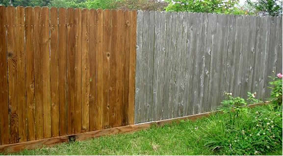 Fence Staining and Painting services in Florida